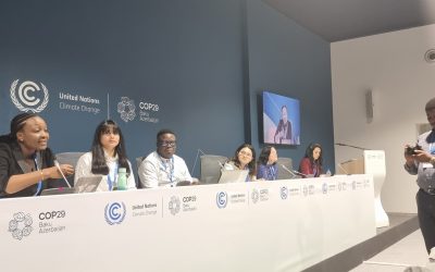 Cop29.2